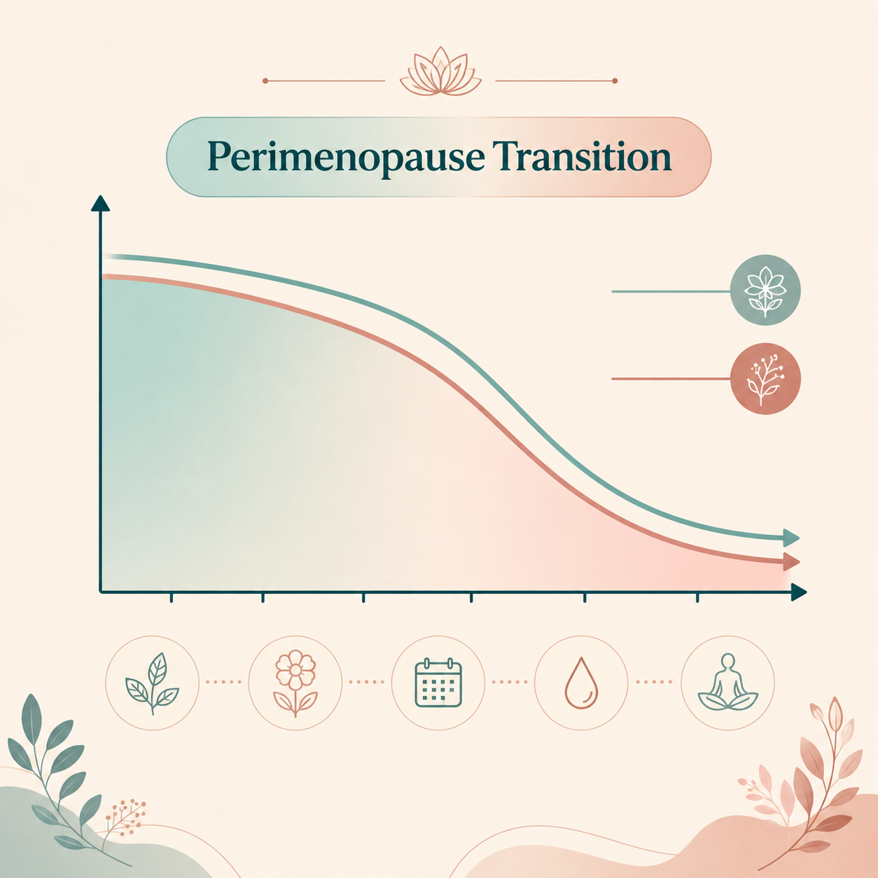 Illustration of the perimenopause transition showing estrogen and progesterone gradually declining over time